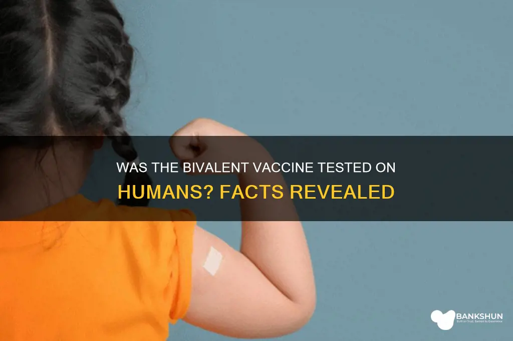 was the bivalent vaccine tested on humans