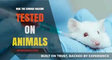 Animal Testing in COVID-19 Vaccines: Ethical Concerns and Scientific Necessity