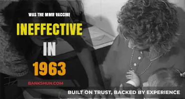 The 1963 MMR Vaccine: Ineffective or Misunderstood?