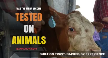 Animal Testing and mRNA Vaccines: Uncovering the Facts and Ethics