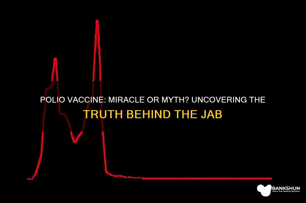 was the polio vaccine a complete scam