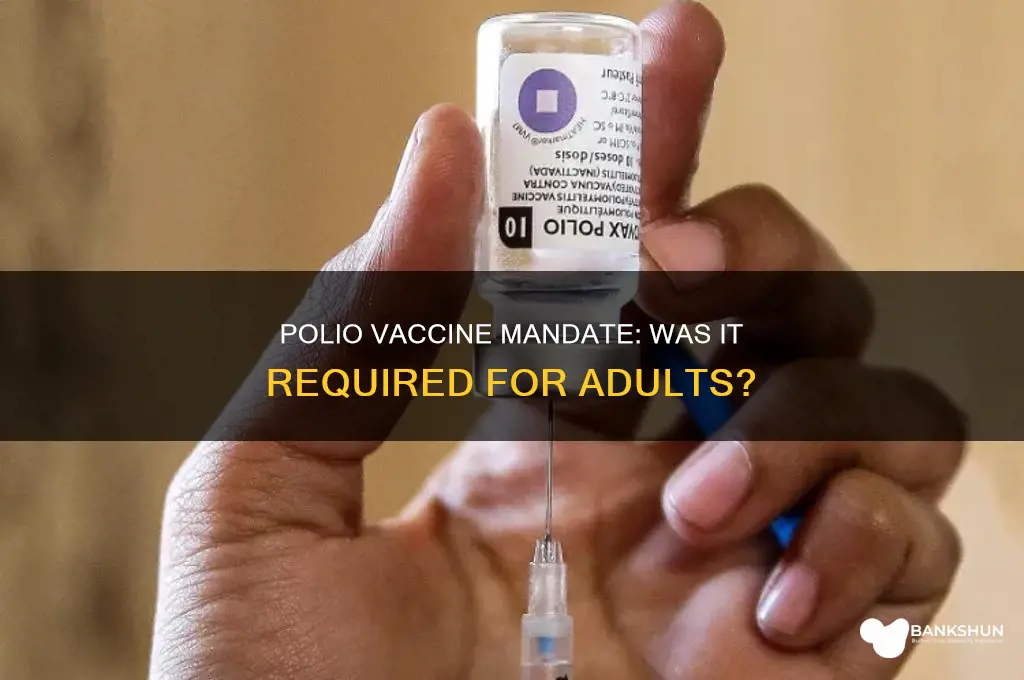 was the polio vaccine mandatory for adults