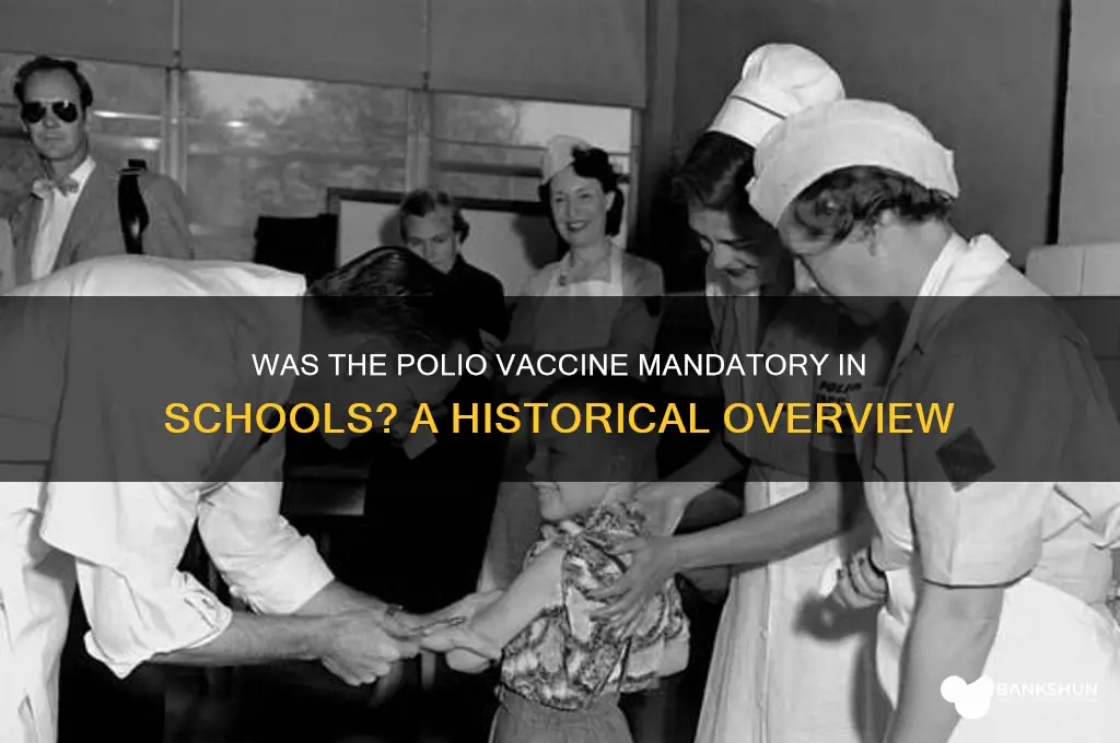 was the polio vaccine mandatory in schools