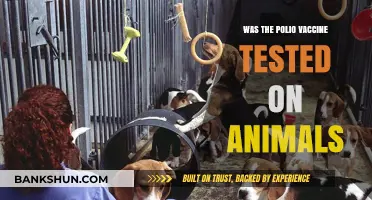 Animal Testing and the Polio Vaccine: Uncovering the Historical Truth