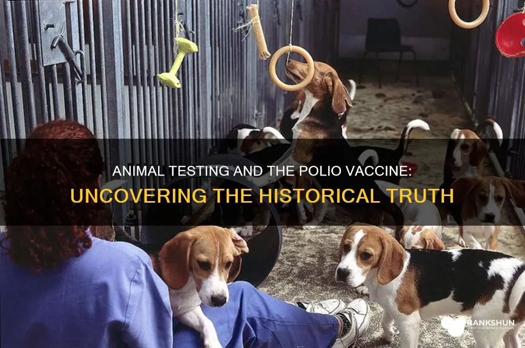 was the polio vaccine tested on animals