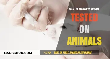 Was the Smallpox Vaccine Tested on Animals? Uncovering the History
