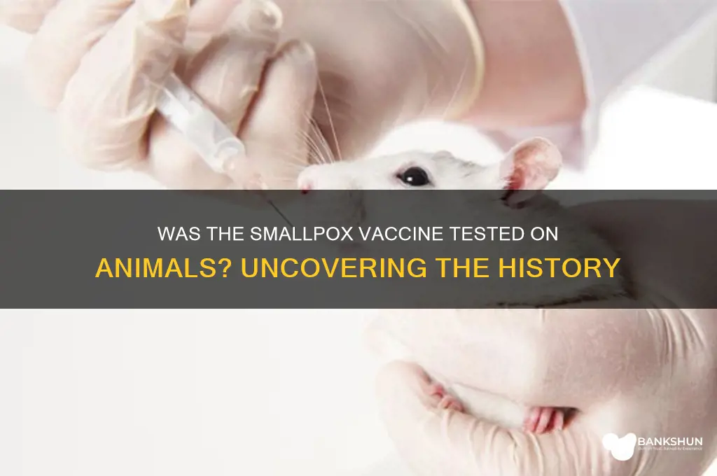 was the smallpox vaccine tested on animals