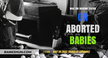 Vaccine Development and Ethical Concerns: Addressing Aborted Fetal Tissue Claims