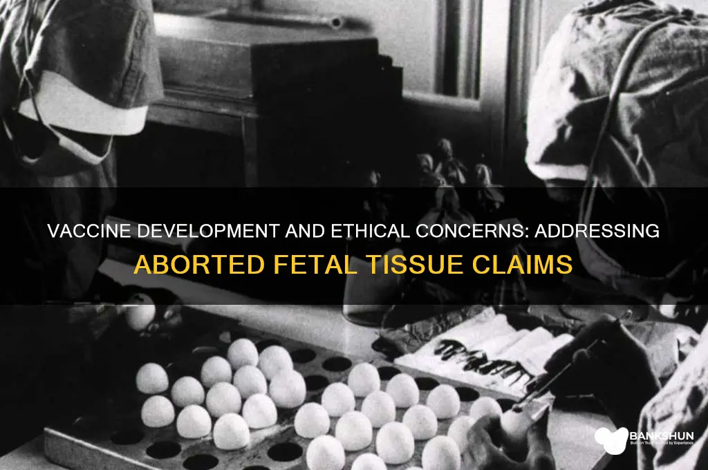was the vaccine tested on aborted babies