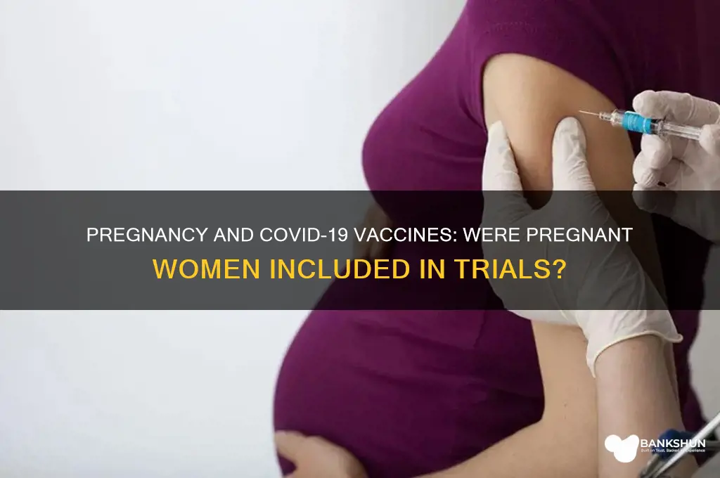 was the vaccine tested on pregnant women