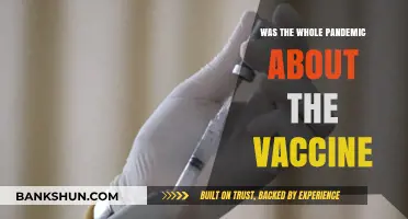 Was the Pandemic Primarily About Pushing Vaccines? A Critical Analysis