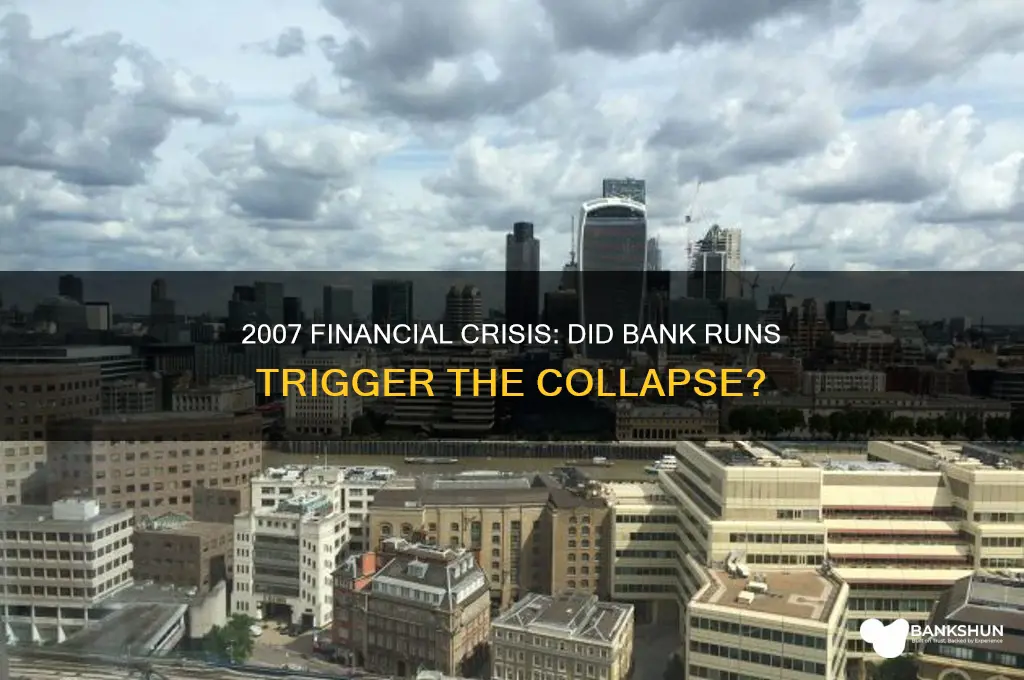 was there a bank run in 2007