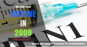 The 2009 H1N1 Pandemic: Did a Vaccine Exist?