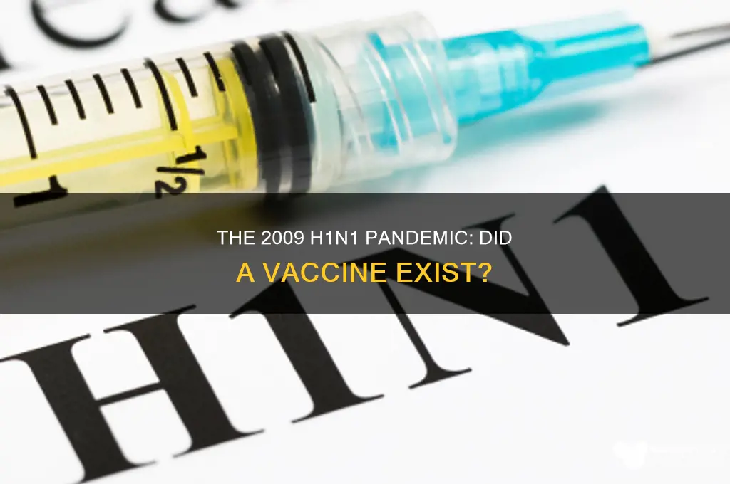 was there a h1n1 vaccine in 2009