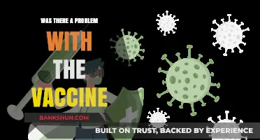 Was There a Problem with the Vaccine? Unraveling the Facts and Myths