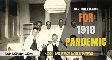 The 1918 Pandemic: Did a Vaccine Exist to Combat the Crisis?