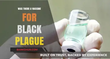 Did a Vaccine Exist for the Black Plague? Uncovering Historical Truths