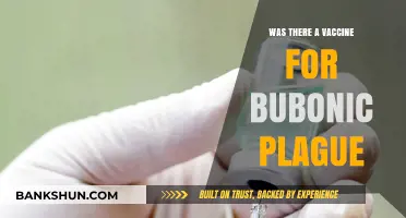 Did a Vaccine Exist for the Bubonic Plague? Uncovering Historical Truths