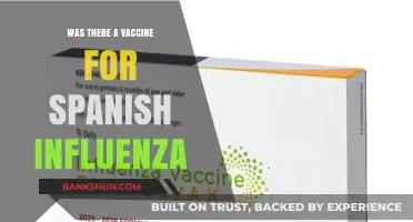 Did a Vaccine Exist for the Deadly Spanish Influenza Pandemic?