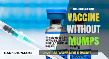 Exploring the History: MMR Vaccine Variants Without Mumps Component