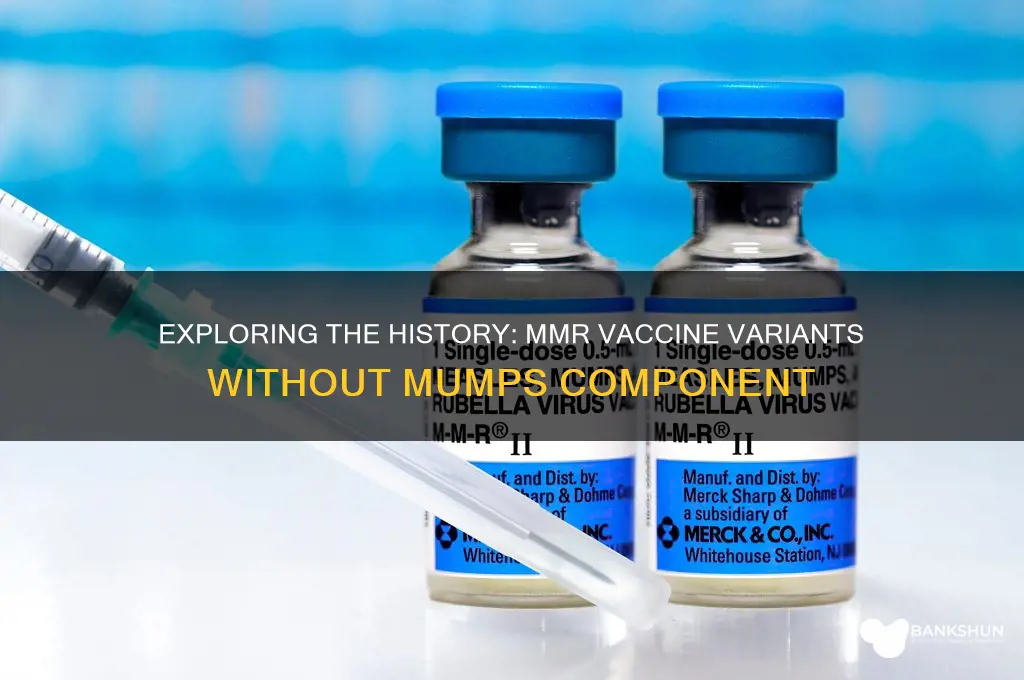was there an mmr vaccine without mumps
