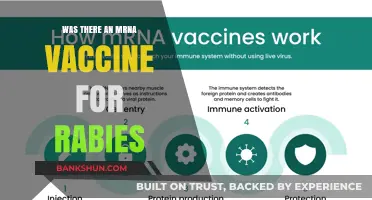 Exploring mRNA Vaccine Developments: Has Rabies Been Targeted Yet?