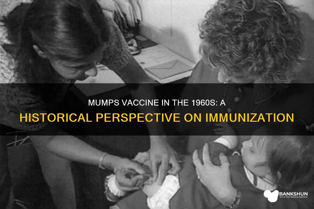 was there mumps vaccine in the 60s