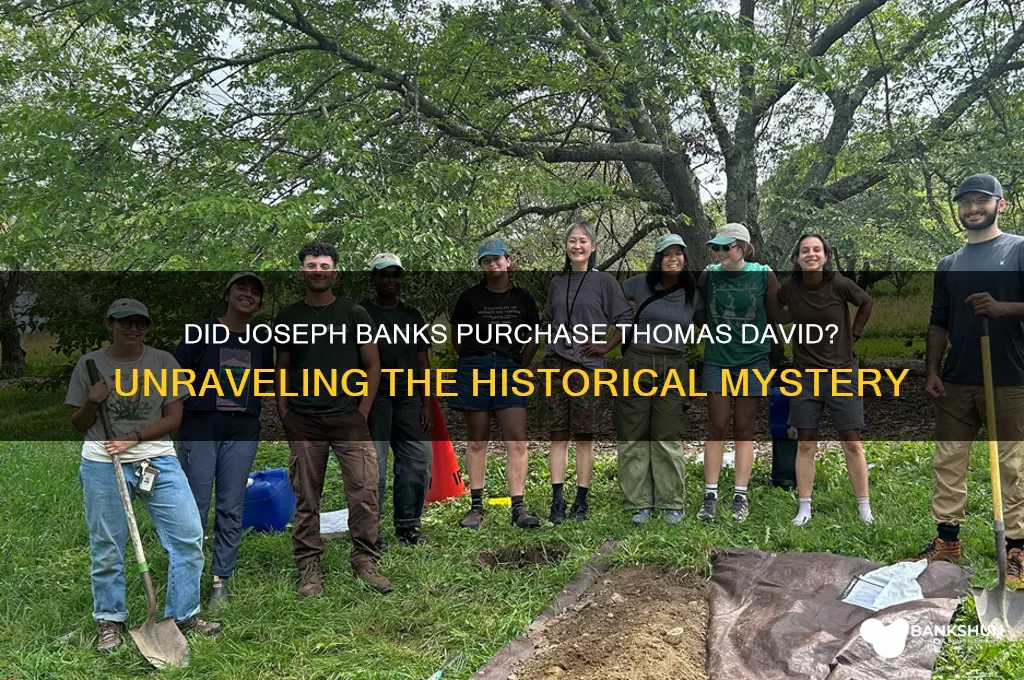 was thomas david purchased by joseph banks