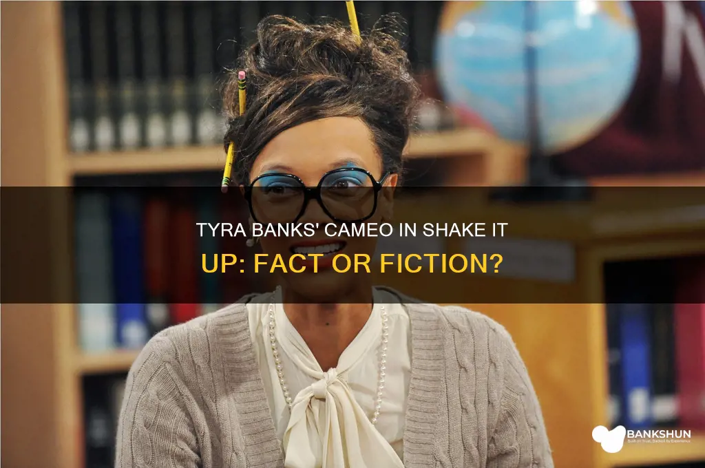 was tyra banks in shake it up