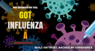 Vaccinated Yet Infected: Understanding Influenza A Breakthrough Cases