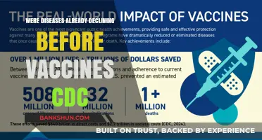 Disease Decline Before Vaccines: Unraveling CDC Data and Historical Trends