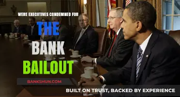 Bank Bailout Backlash: Were Executives Unjustly Condemned for the Crisis?