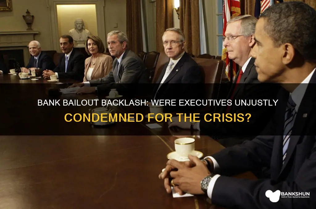 were executives condemned for the bank bailout