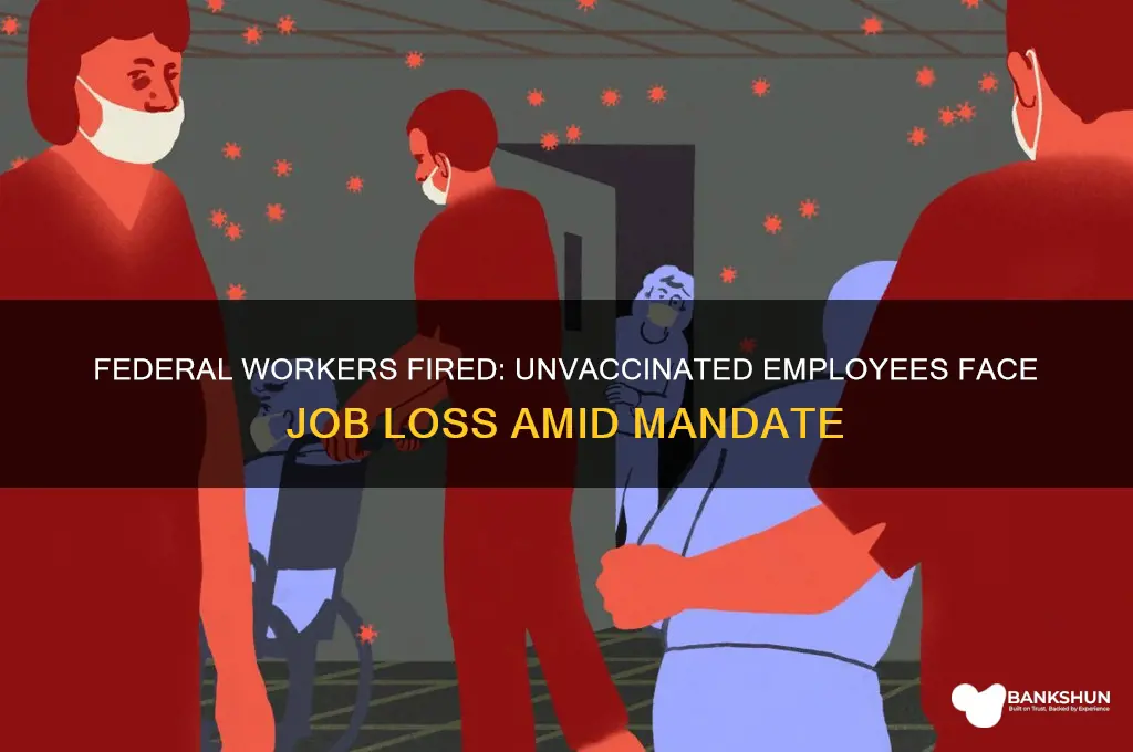 were federal workers fired for not vaccinating