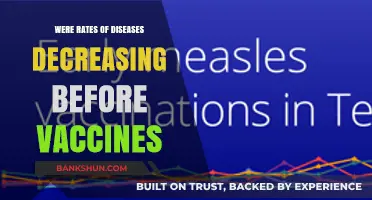 Pre-Vaccine Era: Did Disease Rates Decline Naturally Before Immunizations?