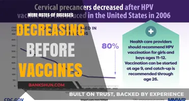 Disease Rates Declining Before Vaccines: Historical Trends and Insights