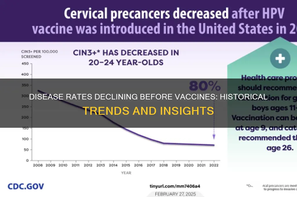 were rstes of diseases decreasing before vaccines