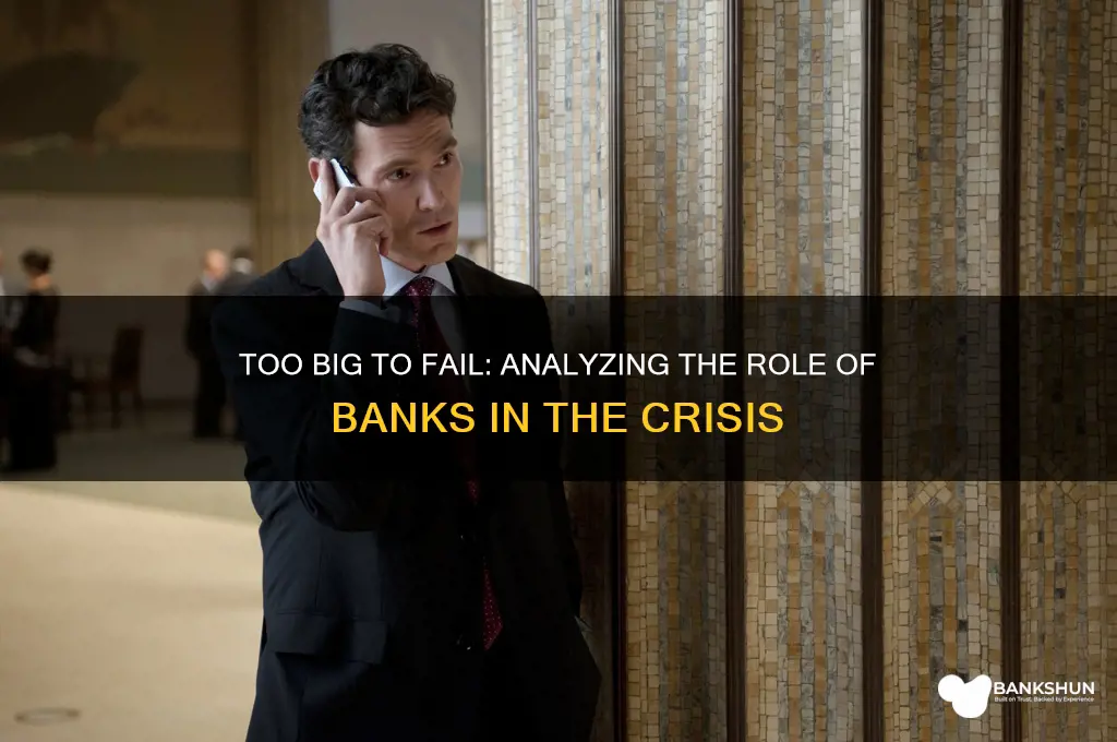 were the banks too big to fail