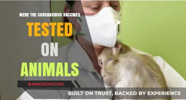 Animal Testing in COVID-19 Vaccines: Ethical Concerns and Scientific Necessity