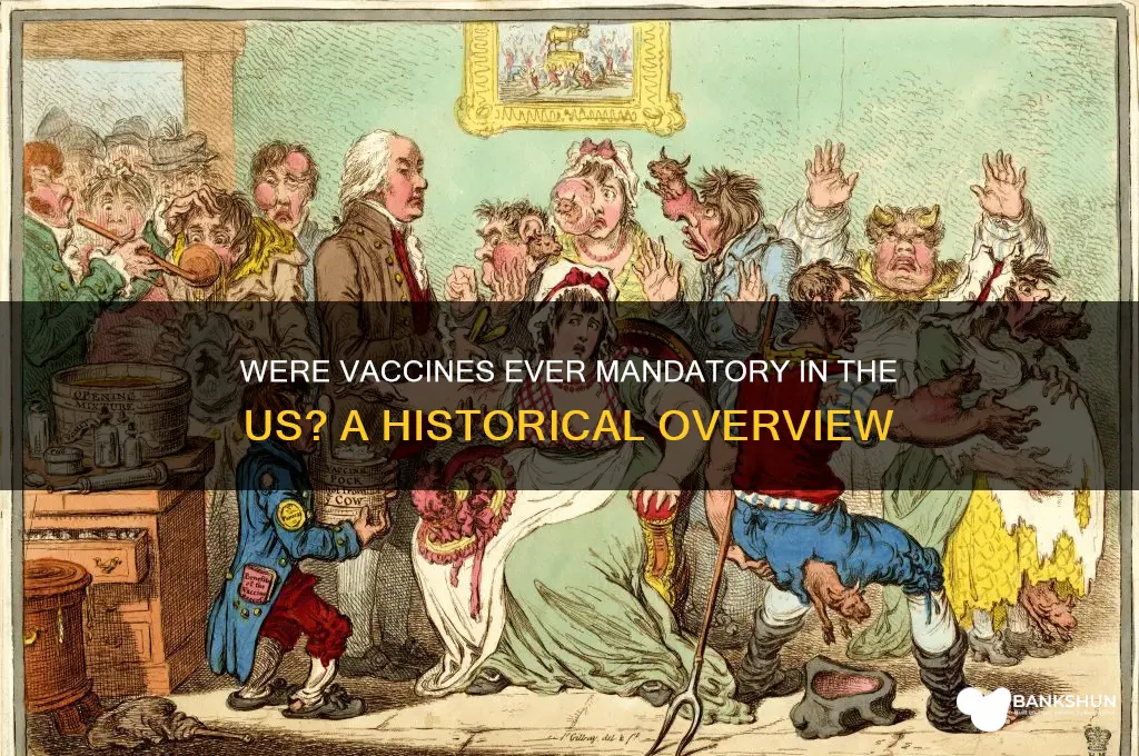 were vaccines ever mandatory in the us