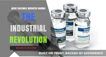 Vaccines and the Industrial Revolution: Unraveling the Timeline of Medical Innovation