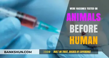 Animal Testing in Vaccine Development: Ethical Concerns and Scientific Necessity