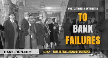 Key Factors Behind Bank Failures: Risky Lending and Economic Shocks