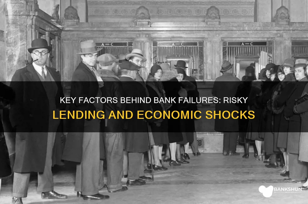 what 2 things contributed to bank failures