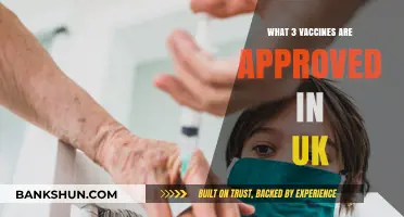 UK-Approved Vaccines: The Three Key Immunizations Explained