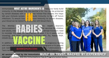 Key Active Ingredients in Rabies Vaccines: A Comprehensive Overview