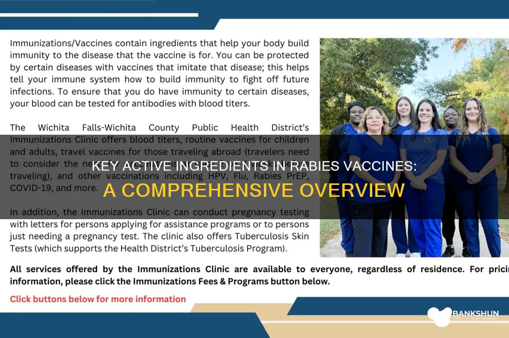what active ingredients is in rabies vaccine