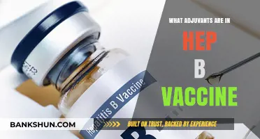 Understanding Hepatitis B Vaccine Adjuvants: Ingredients and Their Role