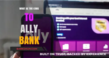 Exploring the Drawbacks: Cons of Banking with Ally Bank