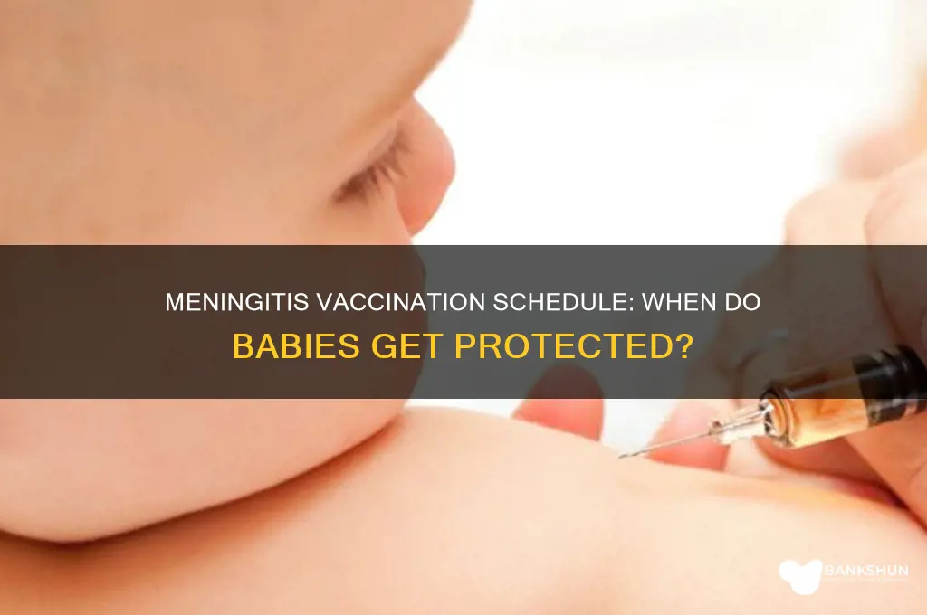 what age are babies vaccinated for meningitis